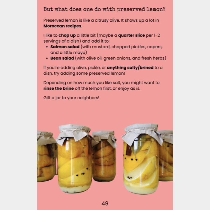 Radical Recipes: Sorke Schneider - Image 2